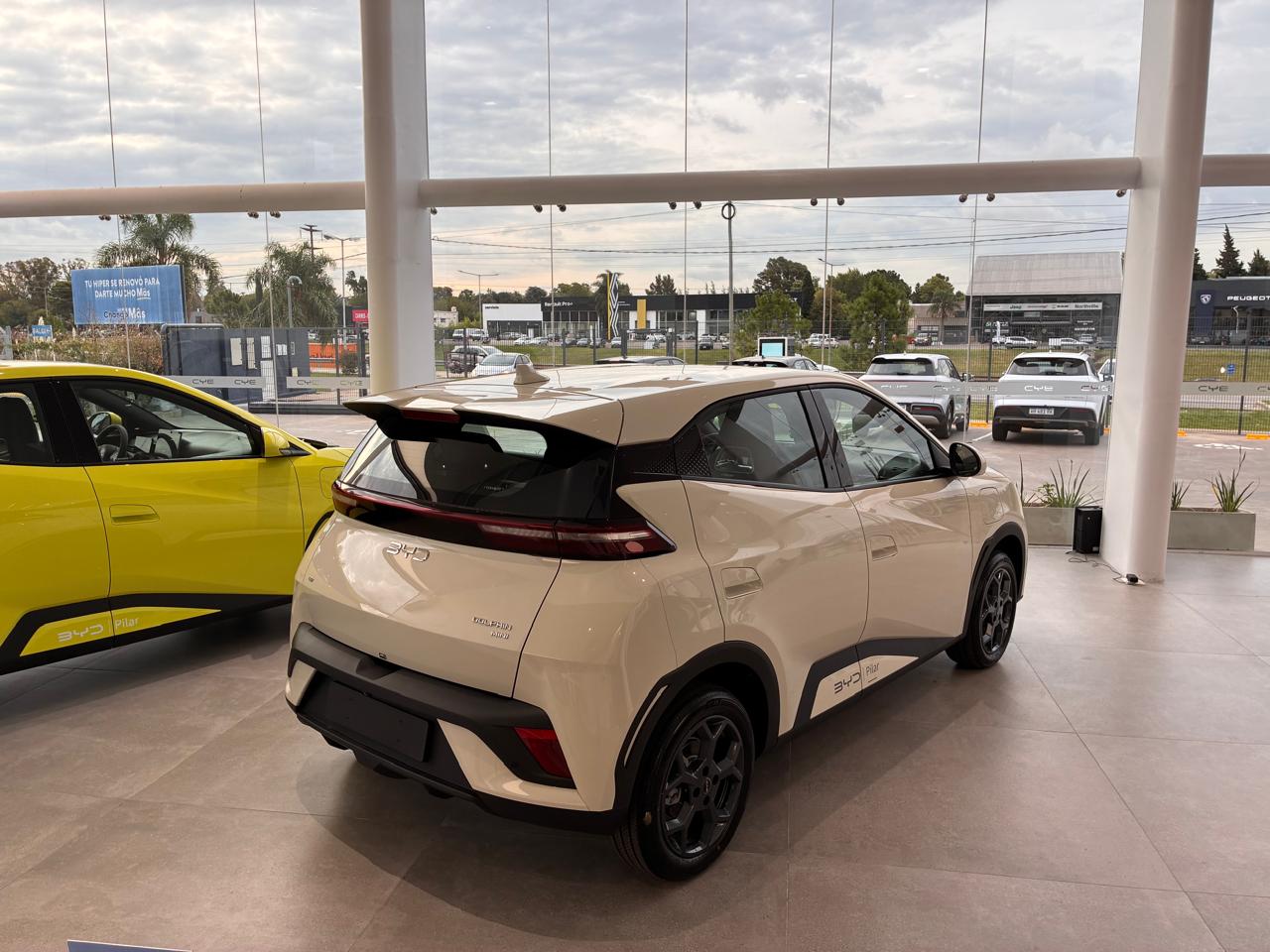 BYD Dolphin Mini EV GS 2025