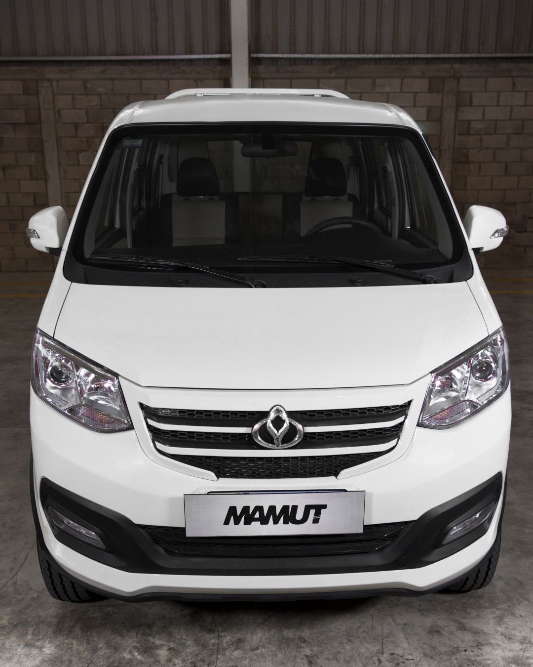 KYC Mamut Cabina Simple 2025