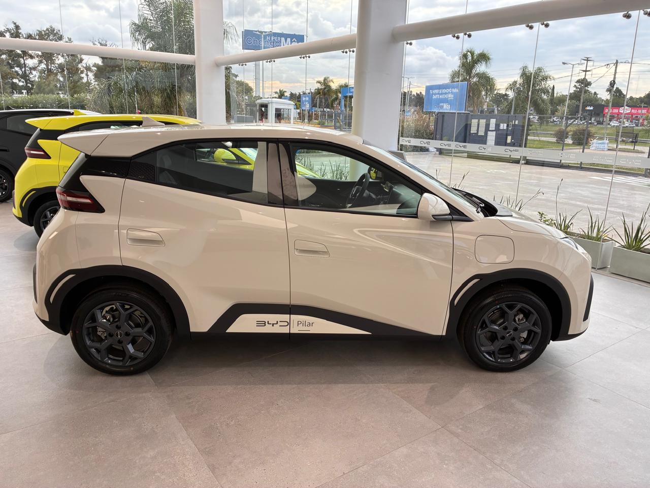 BYD Dolphin Mini EV GS 2025