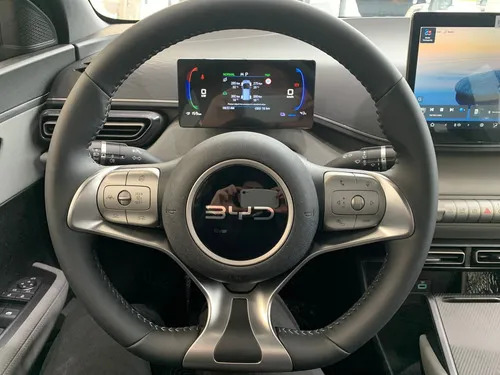 BYD Dolphin Mini GS 2026