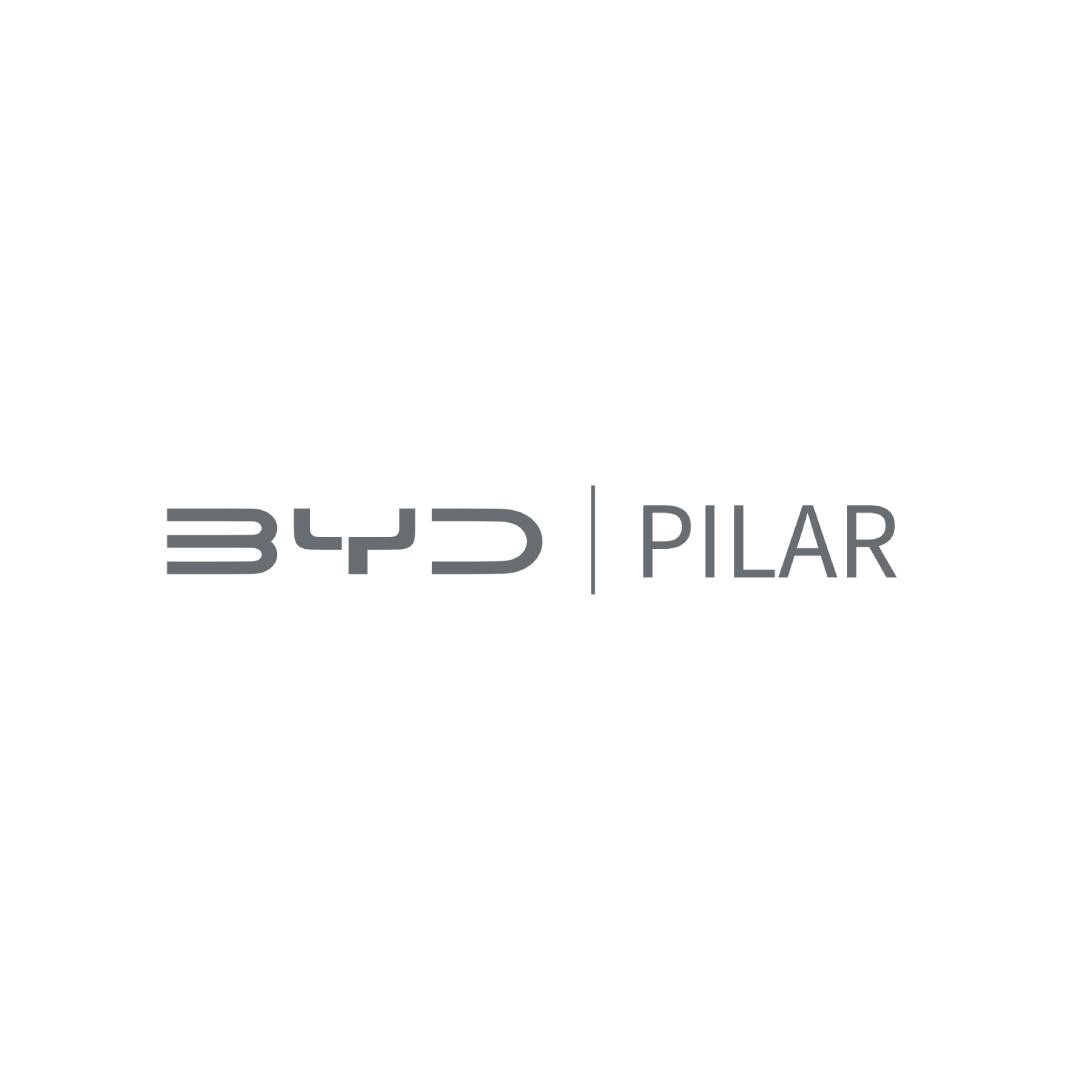 BYD Pilar