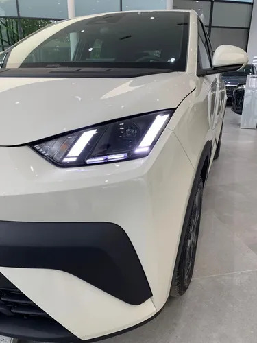 BYD Dolphin Mini GS 2026