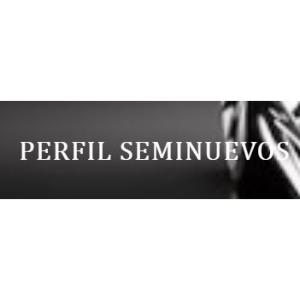 Perfil Seminuevos