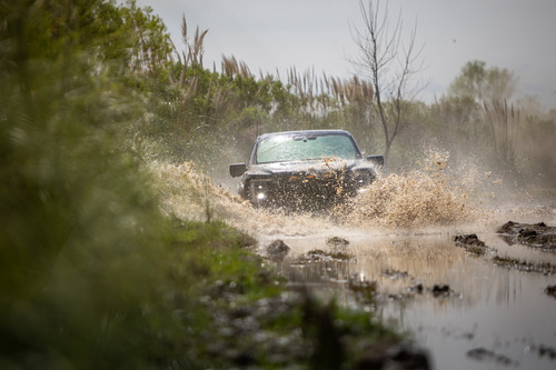 Ford F-150 F-150 Raptor 2025