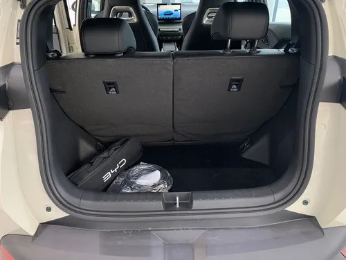 BYD Dolphin Mini GS 2026