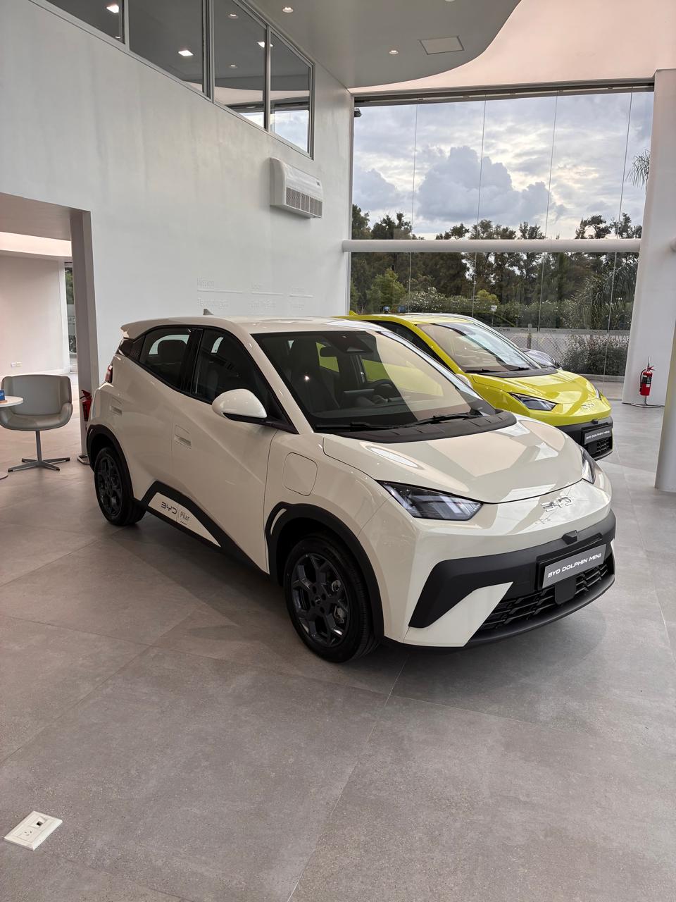 BYD Dolphin Mini EV GS 2025